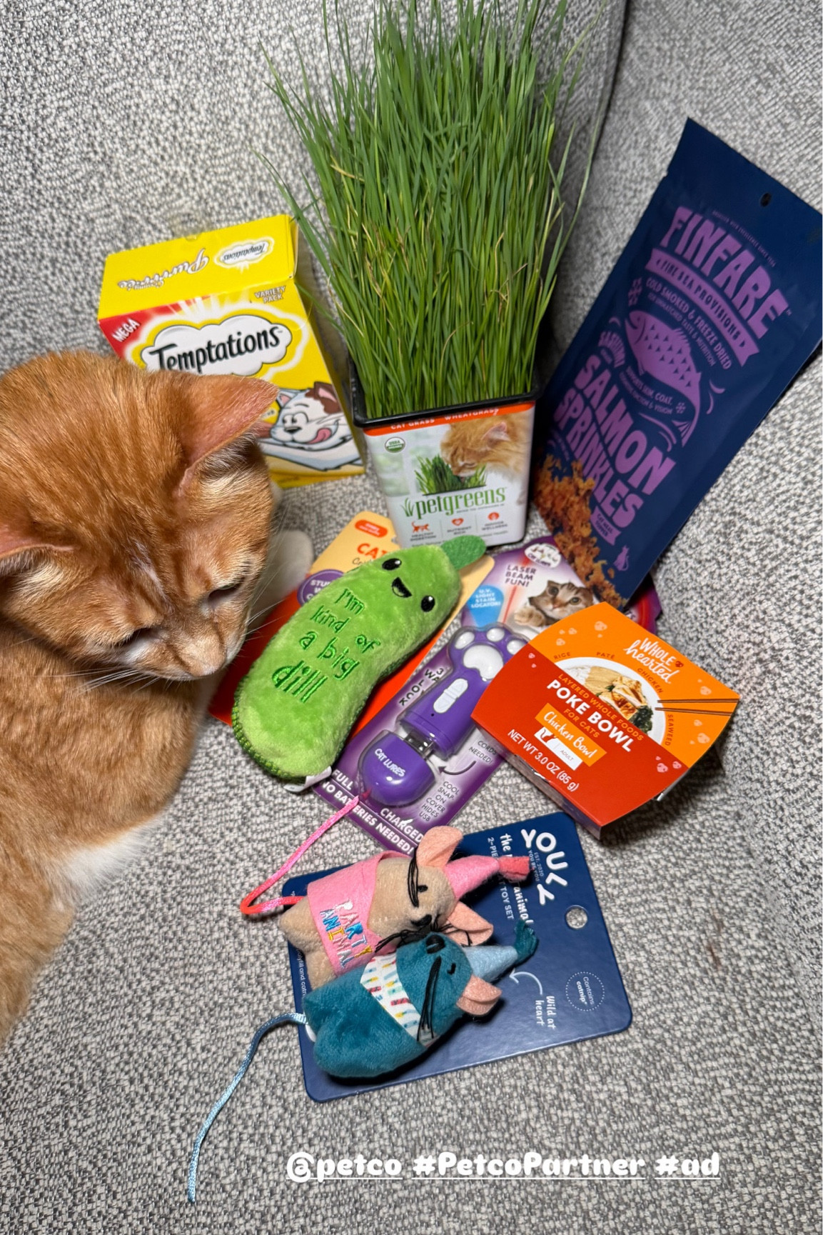
#ad My cat is honestly the easiest to shop for 🐱🛒 From his favorite treats to new toys and even a cat-safe plant, we found so many fun things at @petco lately!! @Shop.LTK #liketkit #LTKpet #PetcoPartner