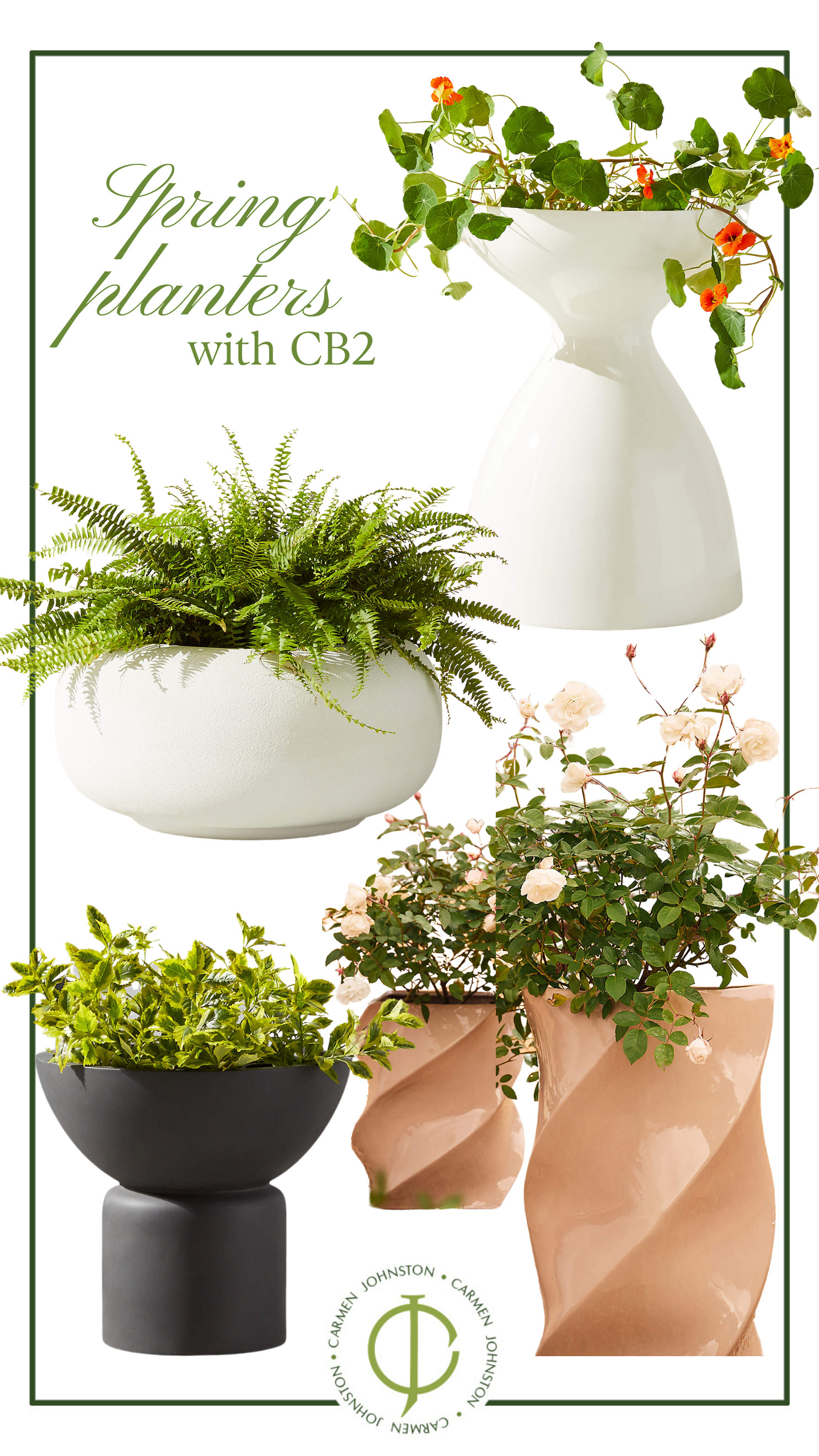 Spring planters with shape and interest from CB2 #homeandgarden #LTKgarden #gardening  

 #LTKHome