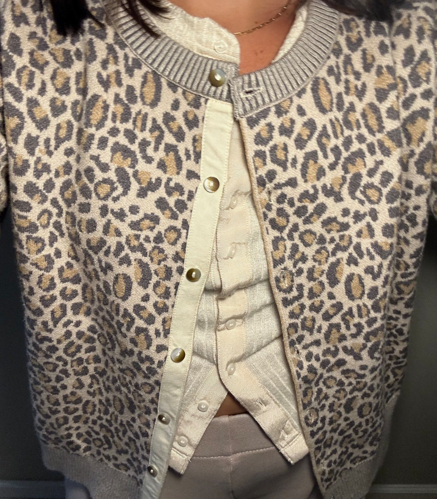 cheetah print + layering 🐆🤎🆒

#LTKSeasonal #LTKFindsUnder50