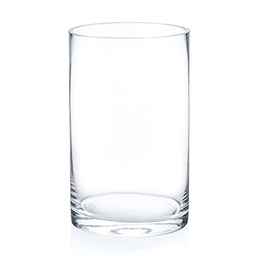 Enova Floral Clear Glass Cylinder Vase 6 x 10 Inches Round Flower Vase, Pillar Candle Floating Candle Holder Vase, Tall Glass Vase for Flowers, Glass Vase for Decor, Wedding Centerpieces (1 Piece) | Amazon (US)