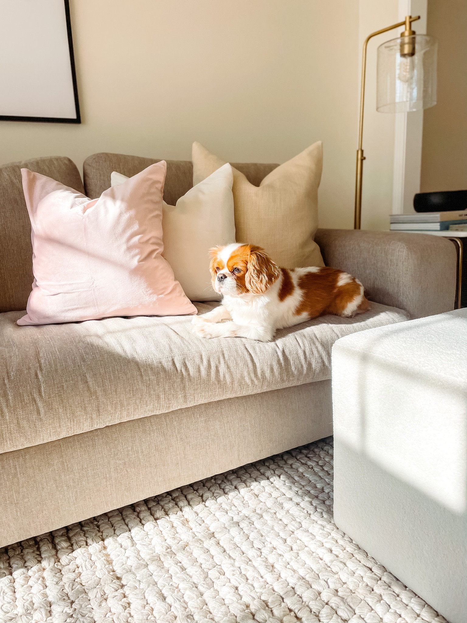 Pillows | Throw Pillows | Family Inspo 

#LTKhome #LTKSeasonal #LTKFind