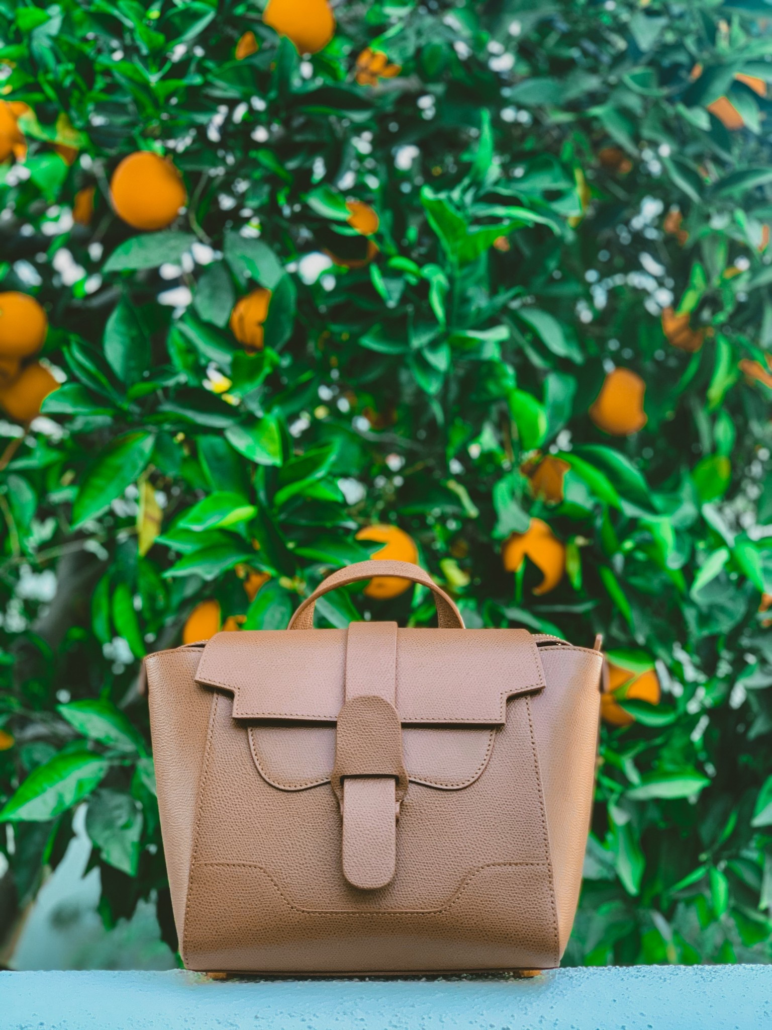 This bag is so versatile! From shoulder to top handle to cross body and even back pack! This is the Medium size but I own it in all 3 sizes. I love it that much!

#LTKdayinmylife #LTKGiftGuide #LTKSeasonal