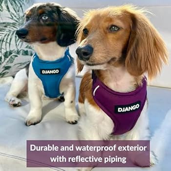 DJANGO Adventure Dog Harness – Comfortable, Durable, and Reflective Neoprene Dog Harness for Outdoor | Amazon (US)