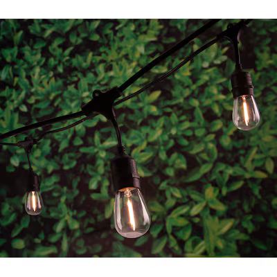 Harbor Breeze 24-ft Plug-in Black Outdoor String Light with 12 White-Light LED Edison Bulbs | Lowe's