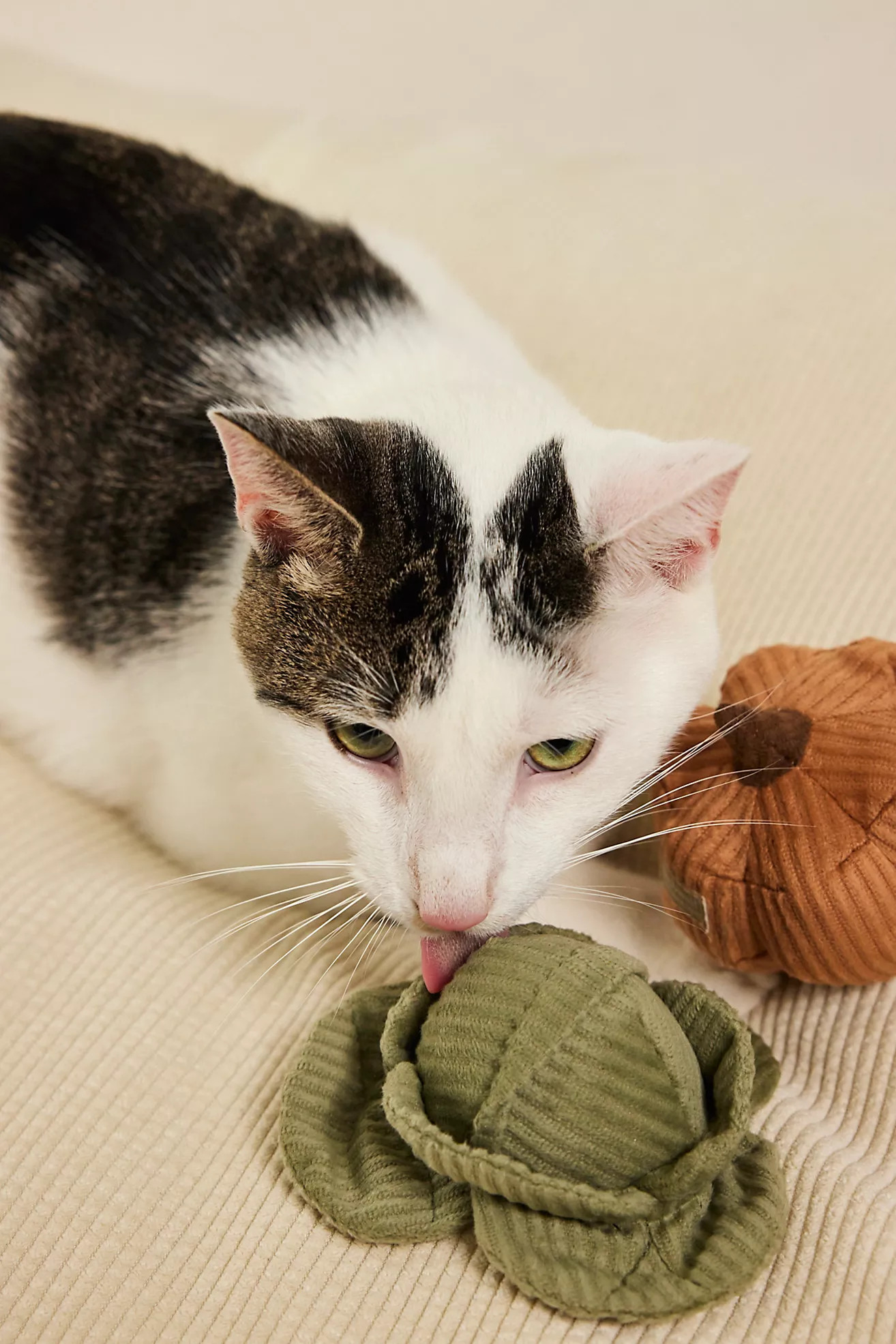 Kitty Veggie Set | Free People (Global - UK&FR Excluded)