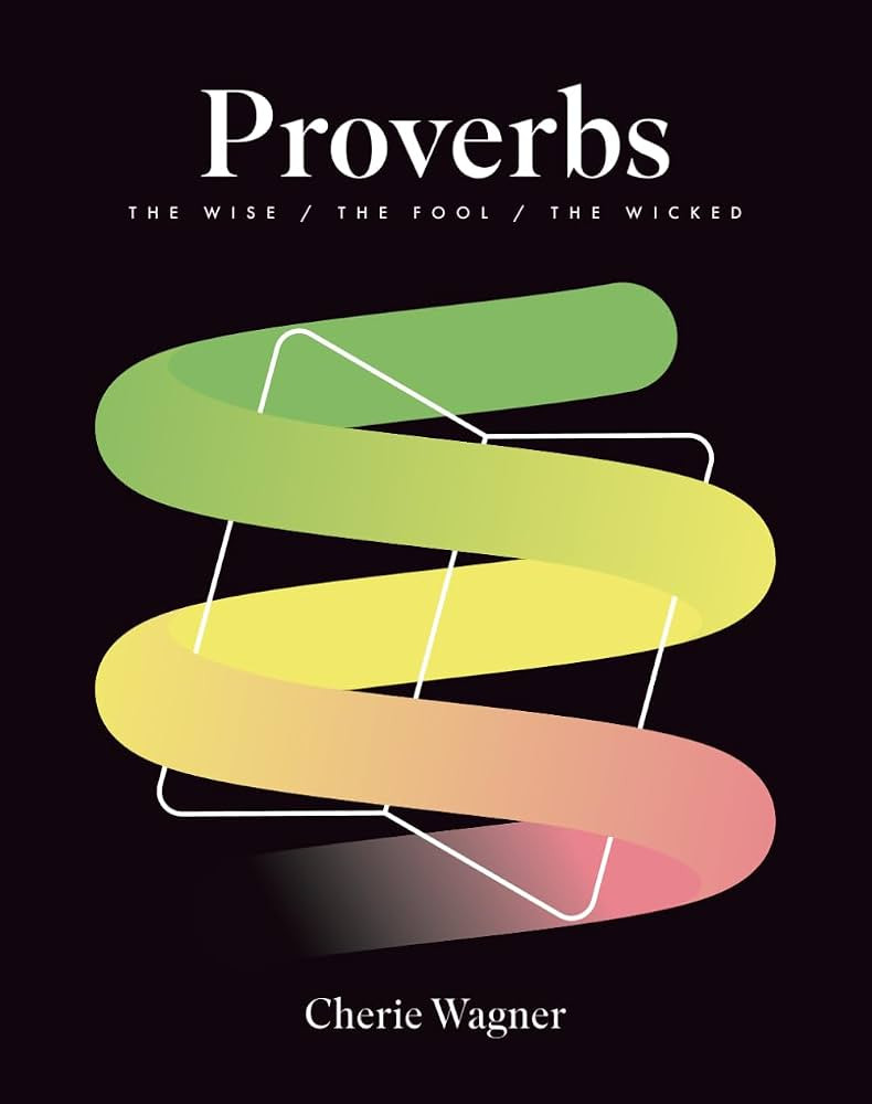 Proverbs: The Wise / The Fool / The Wicked | Amazon (US)