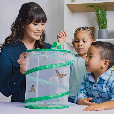 Butterfly Garden | Wayfair North America