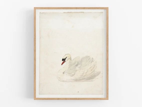 Swan Art Print / Art Print / Vintage Bird Print / Wall Decor / | Etsy | Etsy (US)