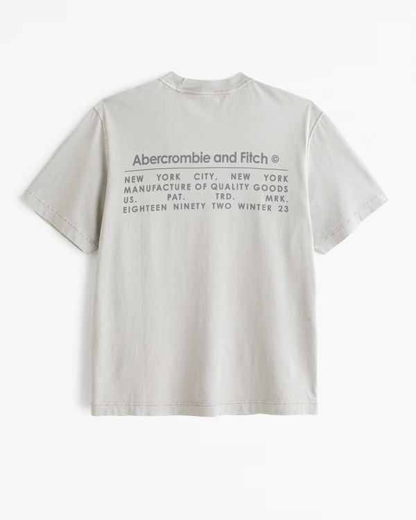 Vintage-Inspired Logo Tee | Abercrombie & Fitch (US)
