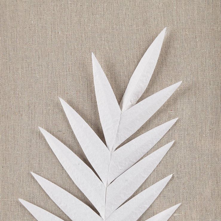 3pc Sabal Palm Rice Paper Framed Shadow Box Set Off White - Madison Park | Target