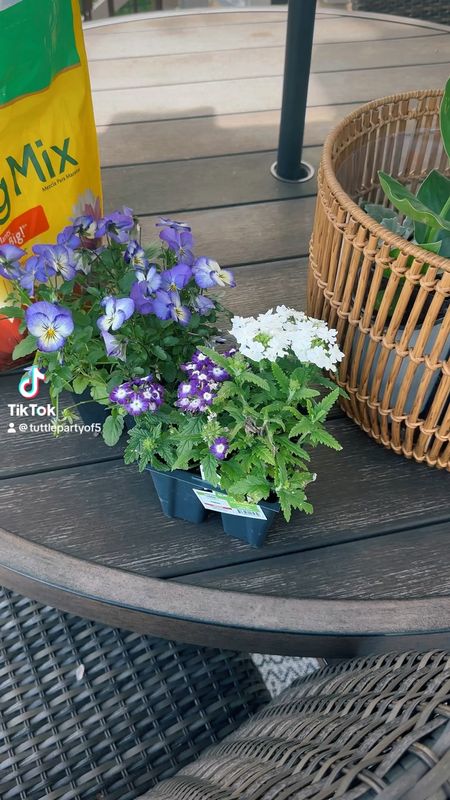 Planter basket 



#LTKVideo #LTKfindsunder50 #LTKhome