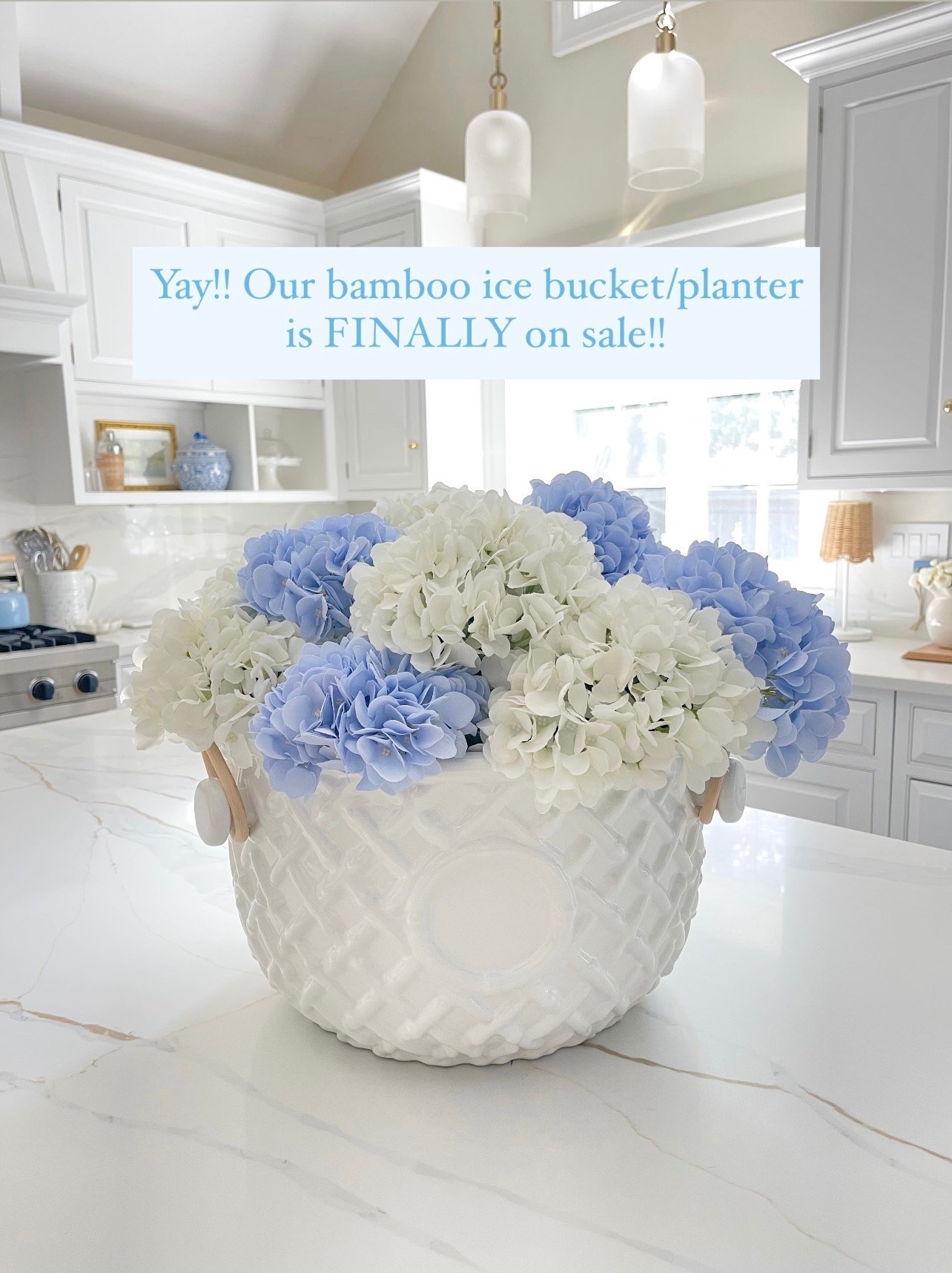 This large white bamboo party ice bucket (that I use as a large planter/centerpiece) NEVER goes on sale!! Snag it now while it is!! 😍🙌🏻

#LTKHome #LTKSaleAlert