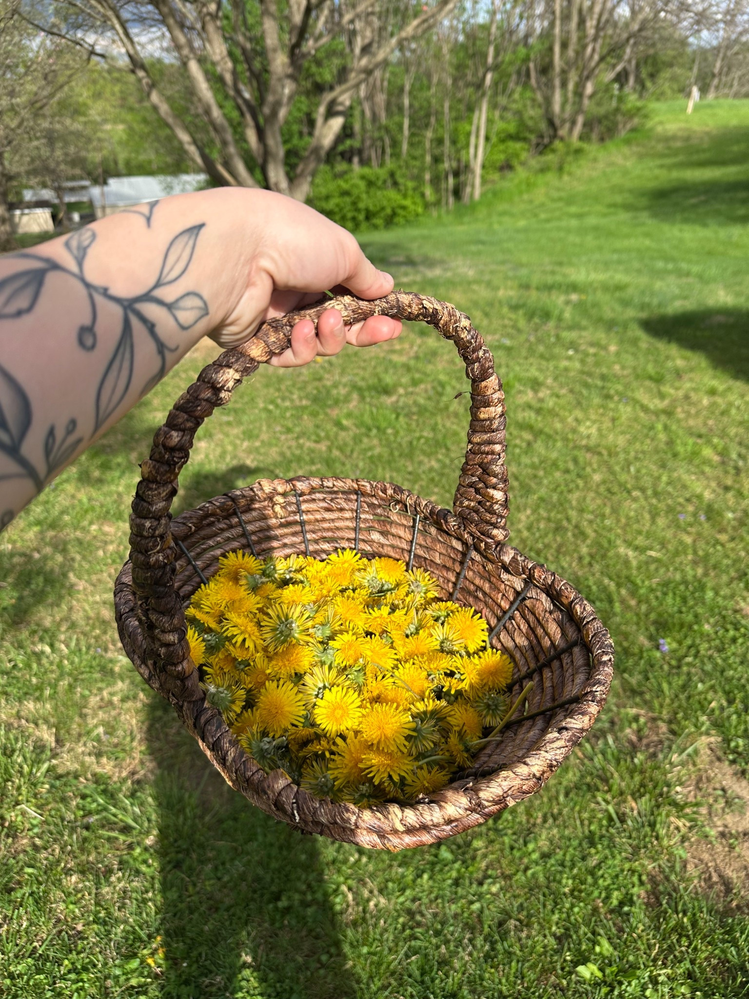 Little spring moments 🌼

Spent some time outside picking fresh dandelions and it felt like the simplest kind of reset. There’s something about bringing nature indoors that just makes everything feel softer and calmer 🤍

Loving these slow, cozy days lately 

#LTKHome #LTKSeasonal #LTKdayinmylife