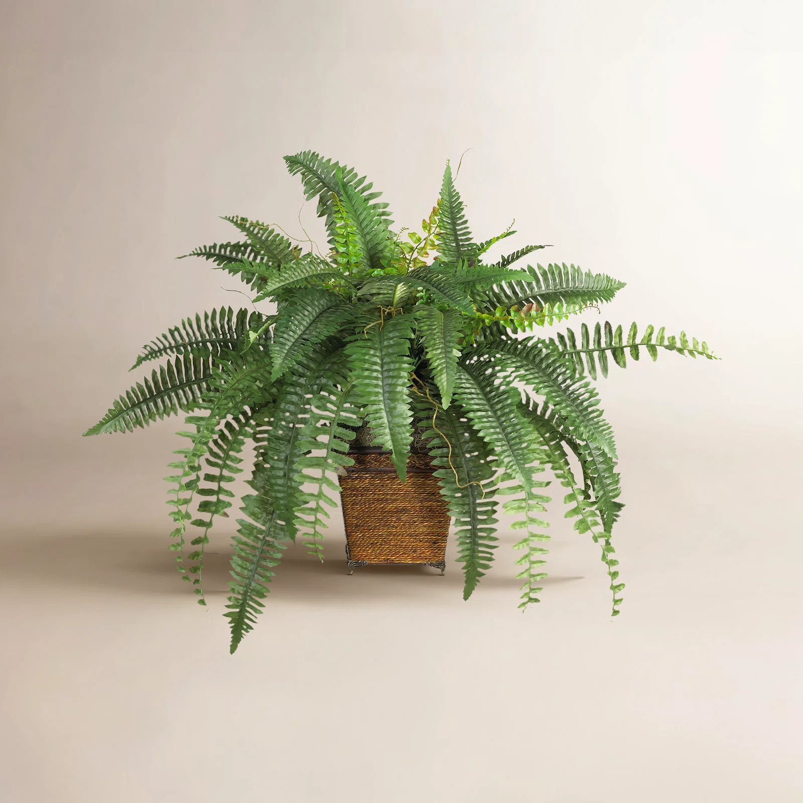 23'' Faux Fern Plant in Wicker/Rattan Pot | Wayfair North America