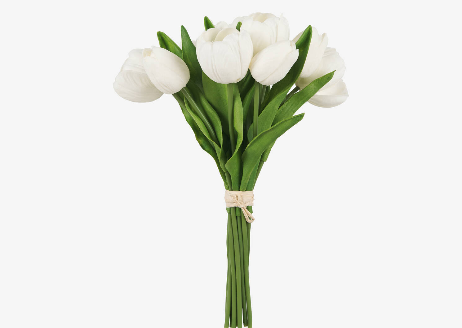 Agnes Tulip Bunch White | Urban Barn