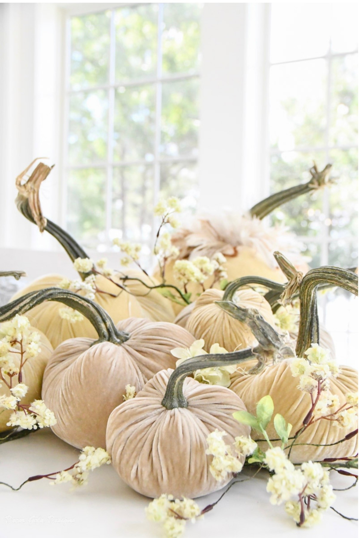 Beautiful velvet pumpkin fall centerpiece for a round tablee

#LTKHome