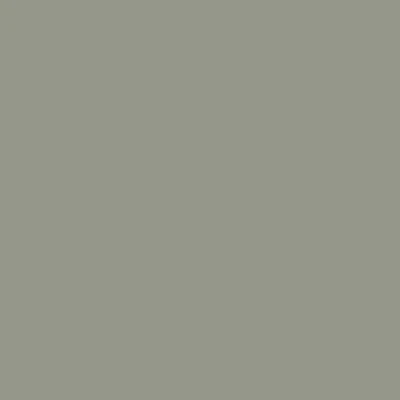 Evergreen Fog (9130) - Paint Sample | Samplize
