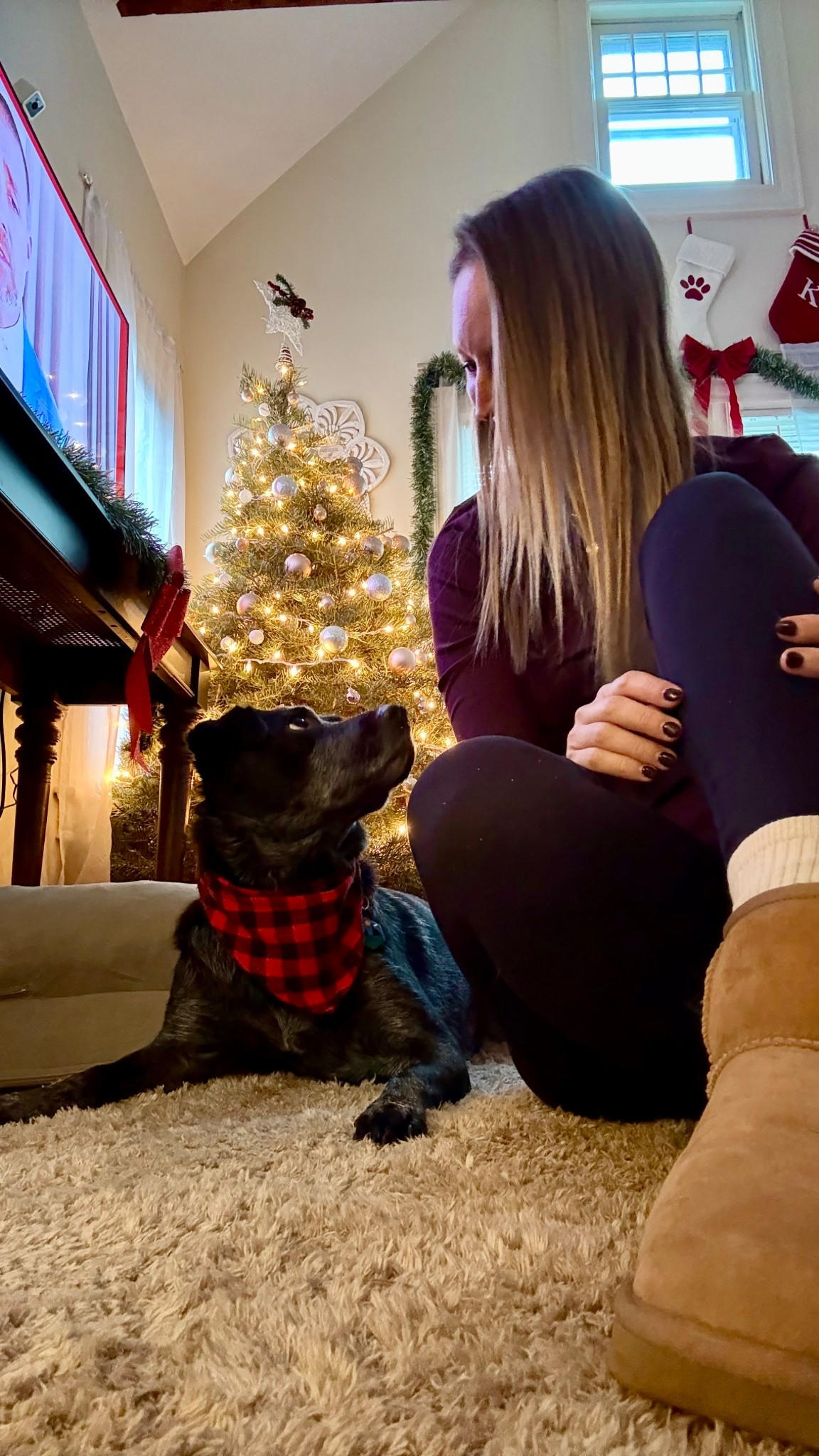 December walk OOTD

#LTKHoliday #LTKActive #LTKSeasonal