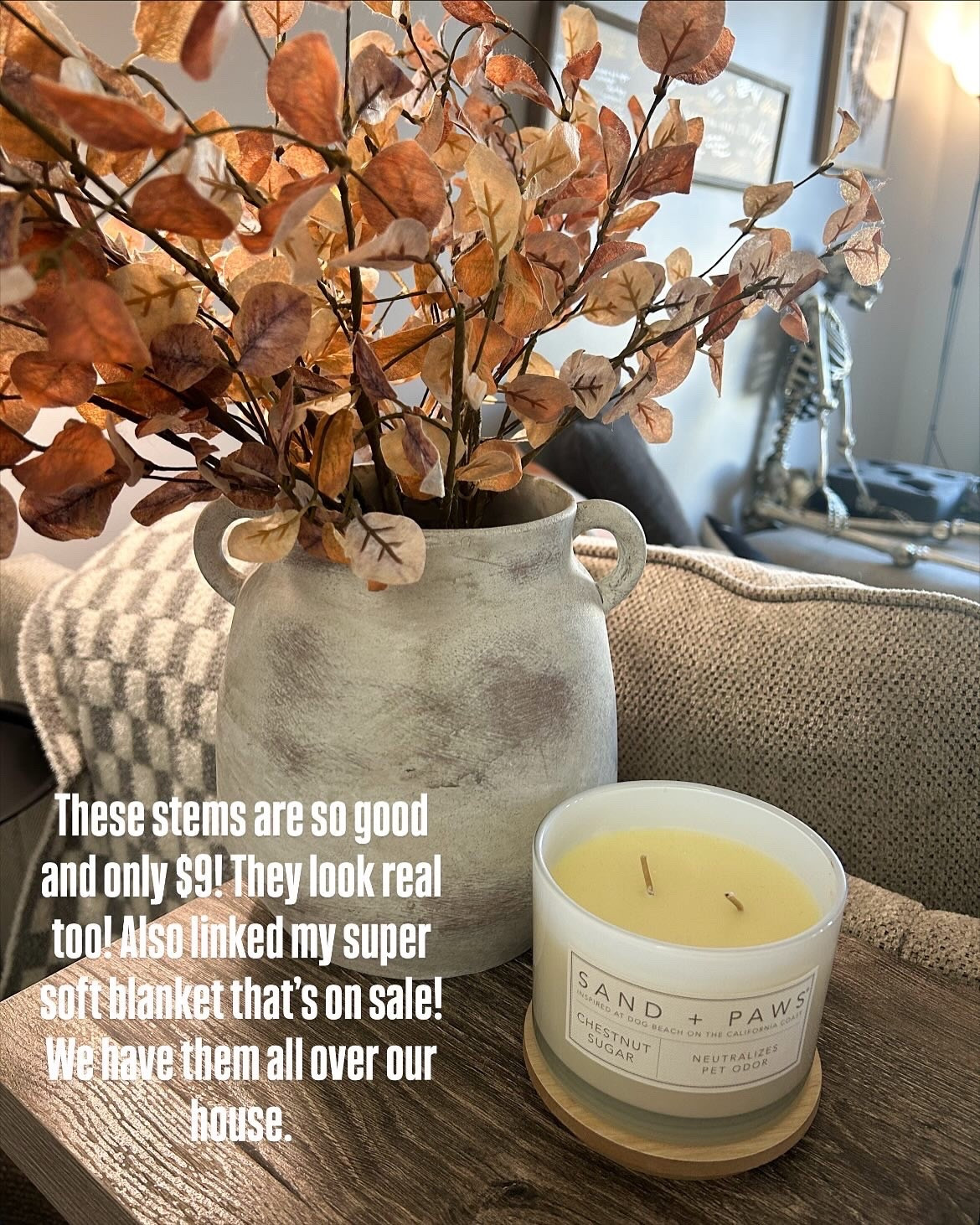 These beautiful stems for fall and cozy blanket season!

#LTKFindsUnder50 #LTKHome #LTKSaleAlert