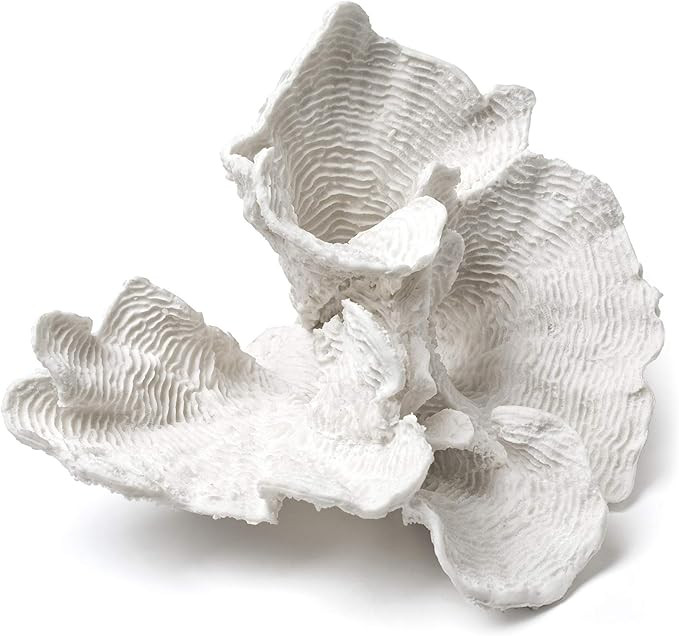 Abbott Collection, Large, Flower Coral | Amazon (US)