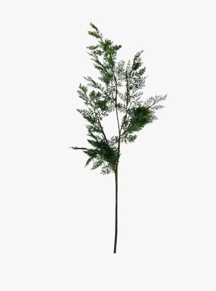 53 Inch Juniper Branch, Artificial Greenery Stem with Realistic Textured Foliage, Tall Faux Botan... | Amazon (US)
