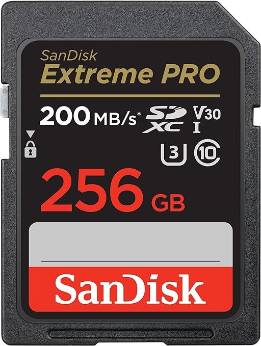 SanDisk 256GB Extreme PRO SDXC UHS-I Memory Card - C10, U3, V30, 4K UHD, SD Card - SDSDXXD-256G-G... | Amazon (US)