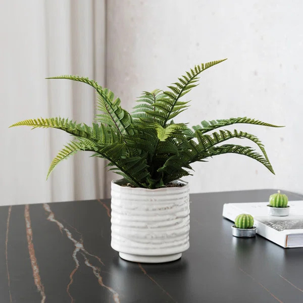 6.75'' Artificial Fern Plant in Pot | Wayfair North America