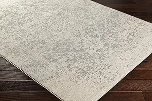 Artistic Weavers Janine Vintage Distressed Area Rug,6'7" x 9',Grey | Amazon (US)