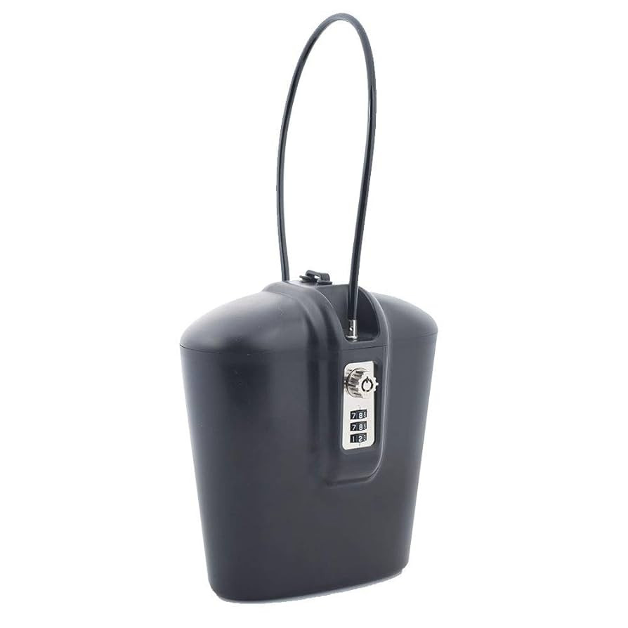 Portable Indoor/Outdoor Lock Box Safe with Key and Combination Access (Black) | Amazon (US)