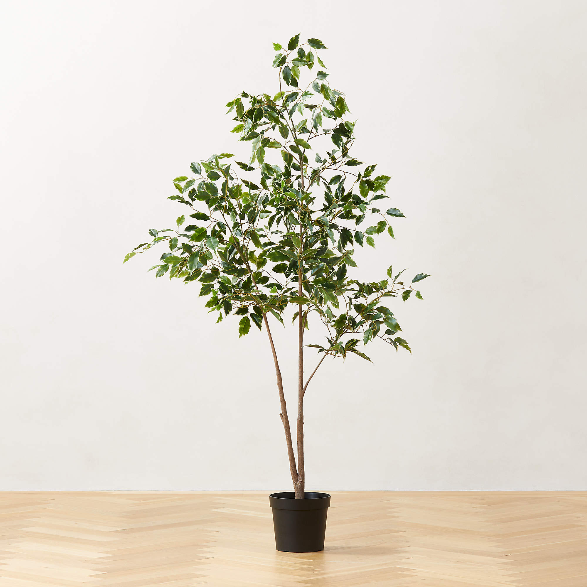 Faux Ficus Tree 6' + Reviews | CB2 | CB2