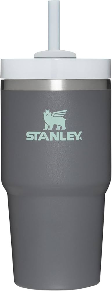 Stanley Quencher H2.0 FlowState Stainless Steel Vacuum Insulated Tumbler with Lid and Straw for W... | Amazon (US)
