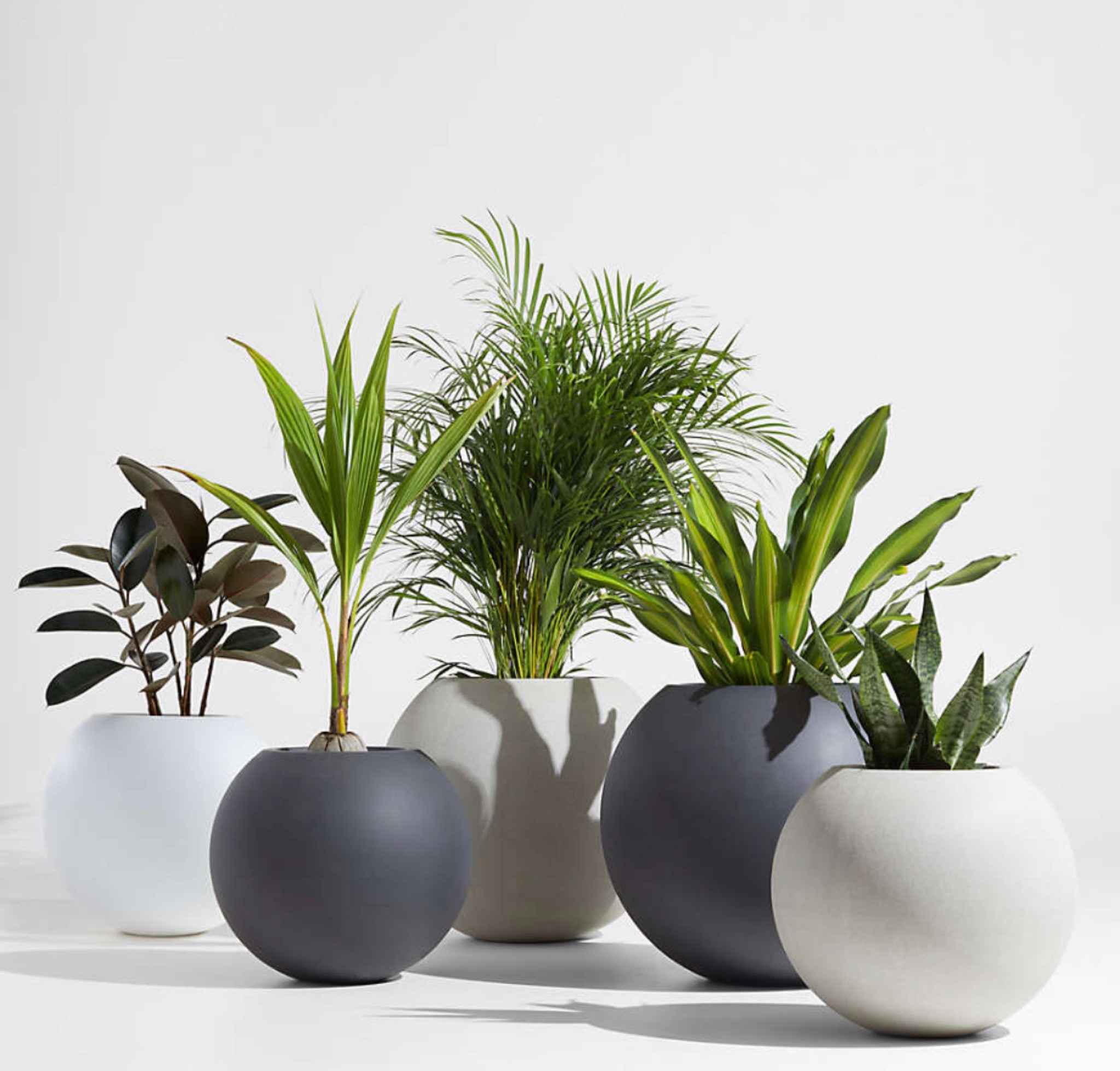 My favorite planters
Concrete Planters
Modern Home Decor
Planter for real plants
Planter for faux plants


#LTKhome #LTKstyletip