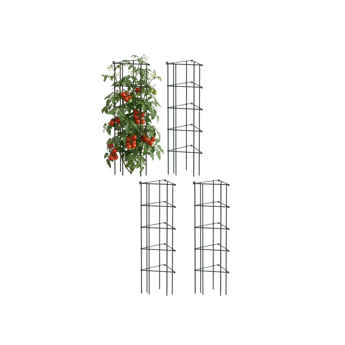 Vego Garden 11.5" 3-Panel Triangle Garden Tomato Cage | Wayfair | Wayfair North America