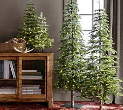 Lit Faux Pine Trees | Pottery Barn (US)