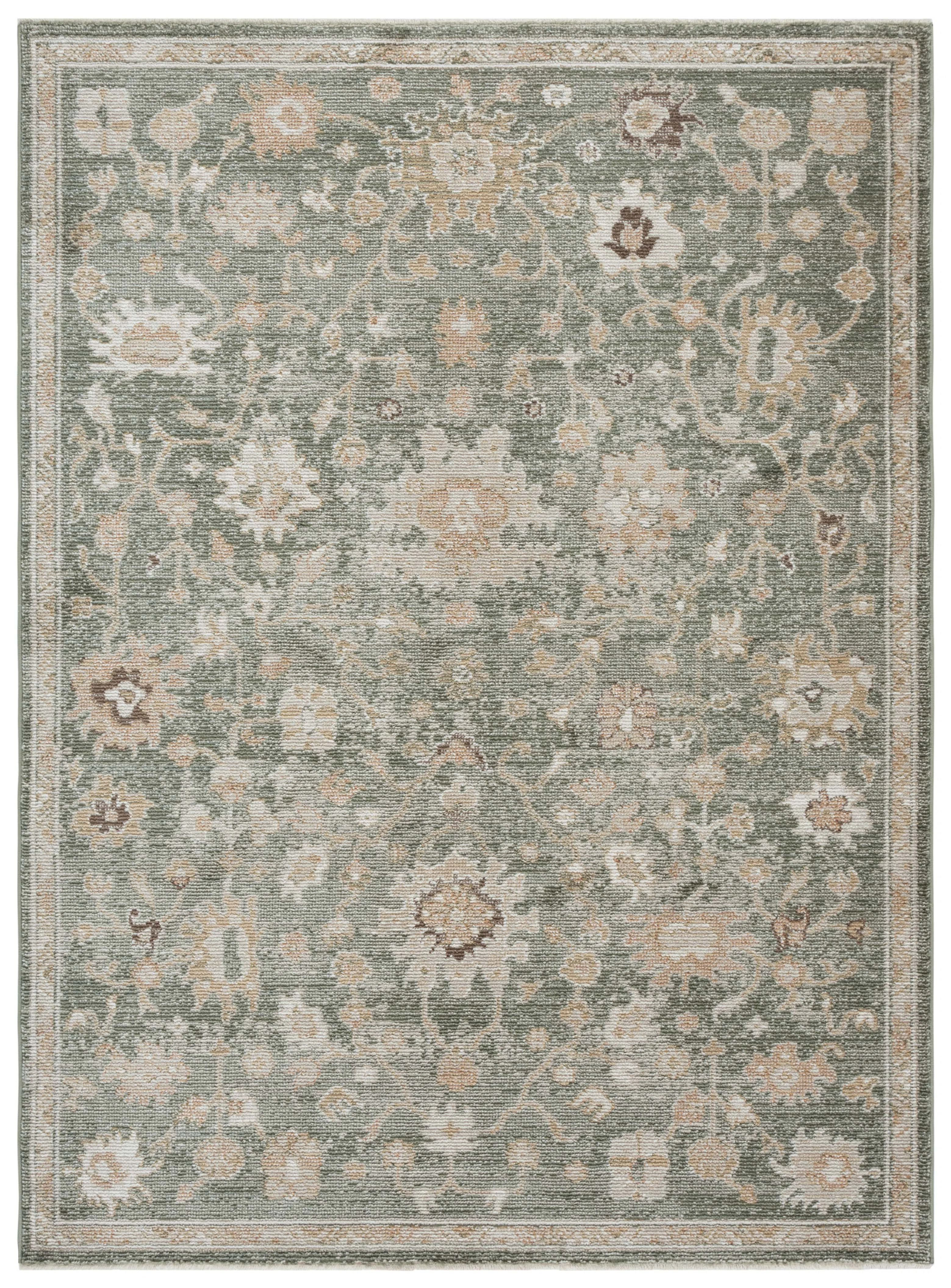 Hazel 512 Performance Oriental Rug | Wayfair North America