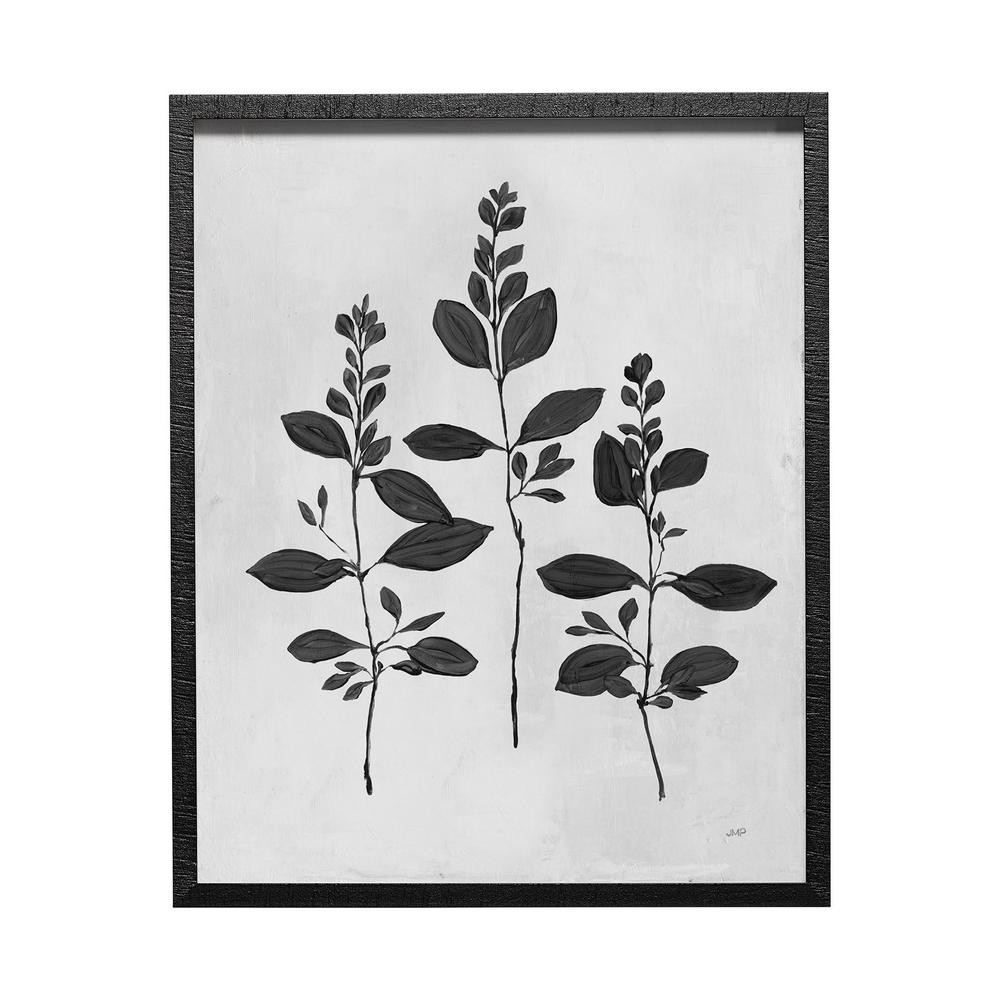 Botanical Study IV Framed Art Botanical Print (25.5 in. x 31.5 in.) | The Home Depot