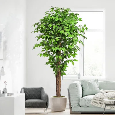 6.2Ft Ficus Artificial Trees With 3 Natural Curved Trunks, 74" Tall Lush Faux Tree For Home Decor Indoor, Green Lifelike Fake Ficus Tree Artificial Pl | Wayfair North America