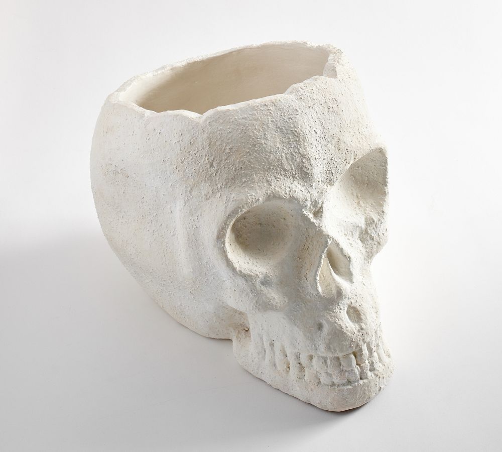Figural Skull Teracotta Party Bucket | Pottery Barn (US)