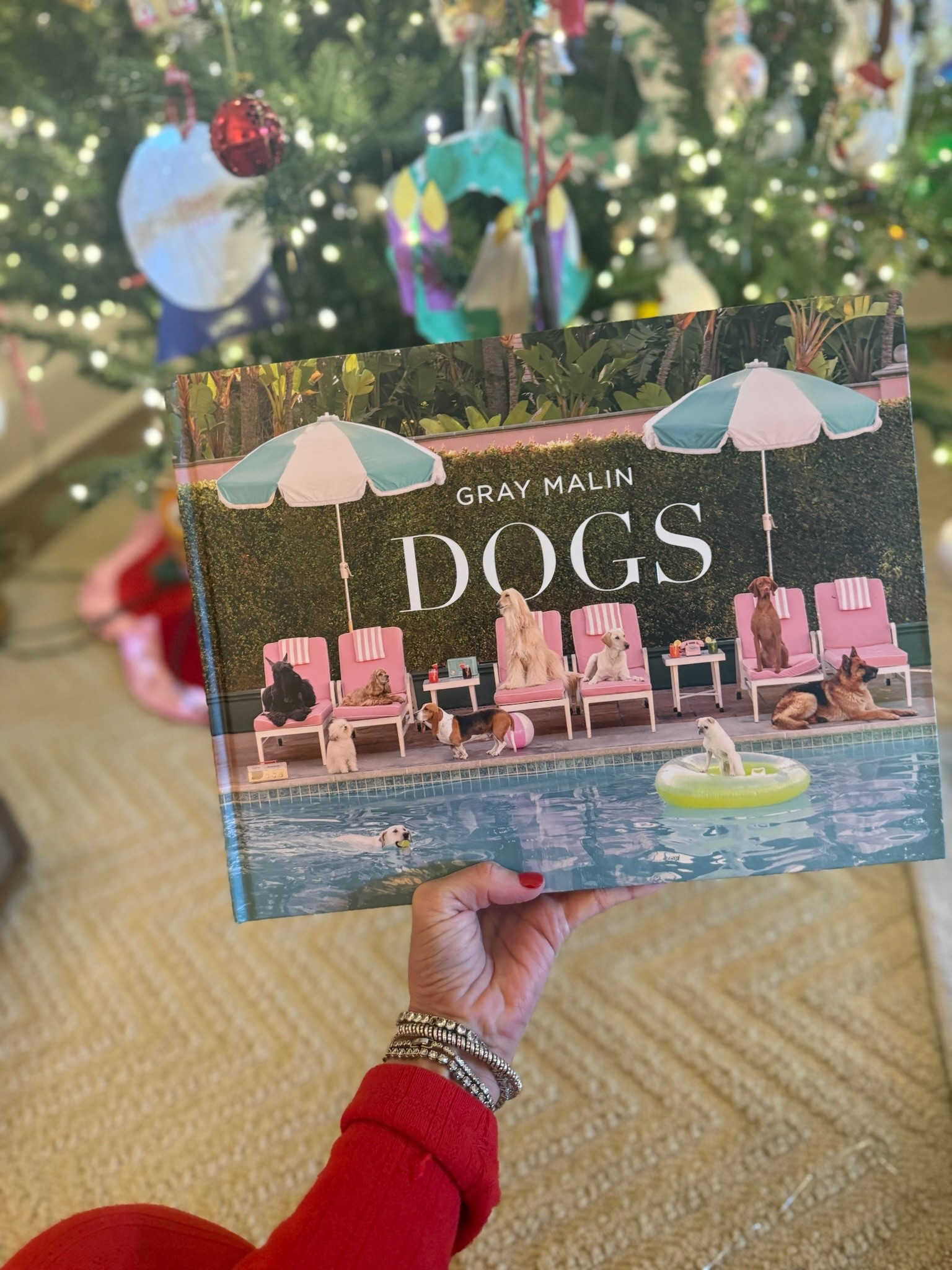 Perfect gift for the dog lover in your life and it will get to you before Christmas! 

#LTKGiftGuide #LTKFindsUnder50 #LTKHoliday