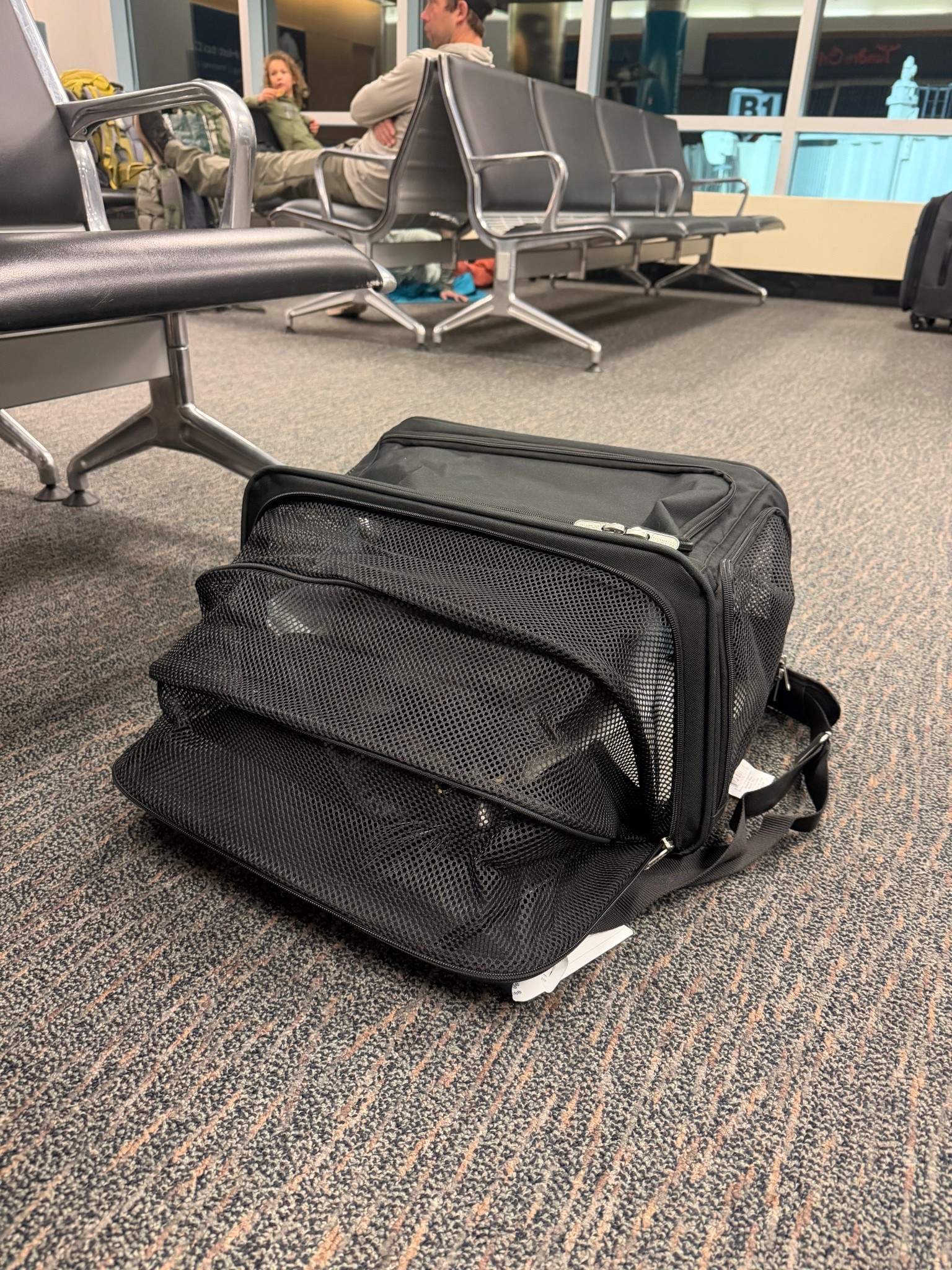 Sherpa Deluxe Pet Carrier Review 🤍✈️ (Cat-Approved!)
Traveling with a pet is already stressful… but this Sherpa Deluxe Pet Carrier seriously changed the game for us. My cat was able to fully stretch out and relax inside — the plush faux-lambswool liner kept him cozy the whole time, and the mesh panels made it easy for him to see me so his anxiety stayed low.
What I loved most:
 • Guaranteed On-Board program — if your pet doesn’t get approved because of carrier size, they refund your travel fee.
 • Top + side entry for super easy loading
 • Locking zippers so your pet can’t claw their way out
 • Machine-washable liner (bless)
 • Sturdy stability board so the carrier doesn’t collapse when they stand or move
 • Fits under most airline seats and still gives your pet room to lounge
If you’re flying with a cat or small dog, this is honestly the best carrier I’ve tried. Mine is the Medium size — perfect for cats up to 16 lbs. The ventilation and visibility made such a difference, and he actually napped during the trip which has NEVER happened before. 😭🤍
I linked the exact one I used on my LTK for easy shopping!
#pettravel #cattravel #airlineapprovedpetcarrier #sherpapetcarrier #travelwithpets #catmomlife #airtravelessentials #ltkpets #ltkhome #ltktravel

#LTKTravel #LTKdayinmylife #LTKHoliday