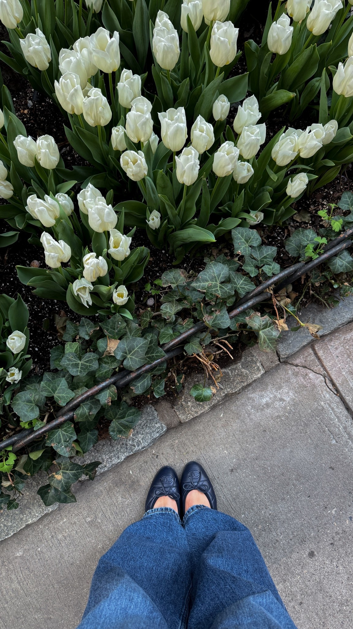 spring on the upper east side 

#LTKdayinmylife #LTKootd #LTKSeasonal