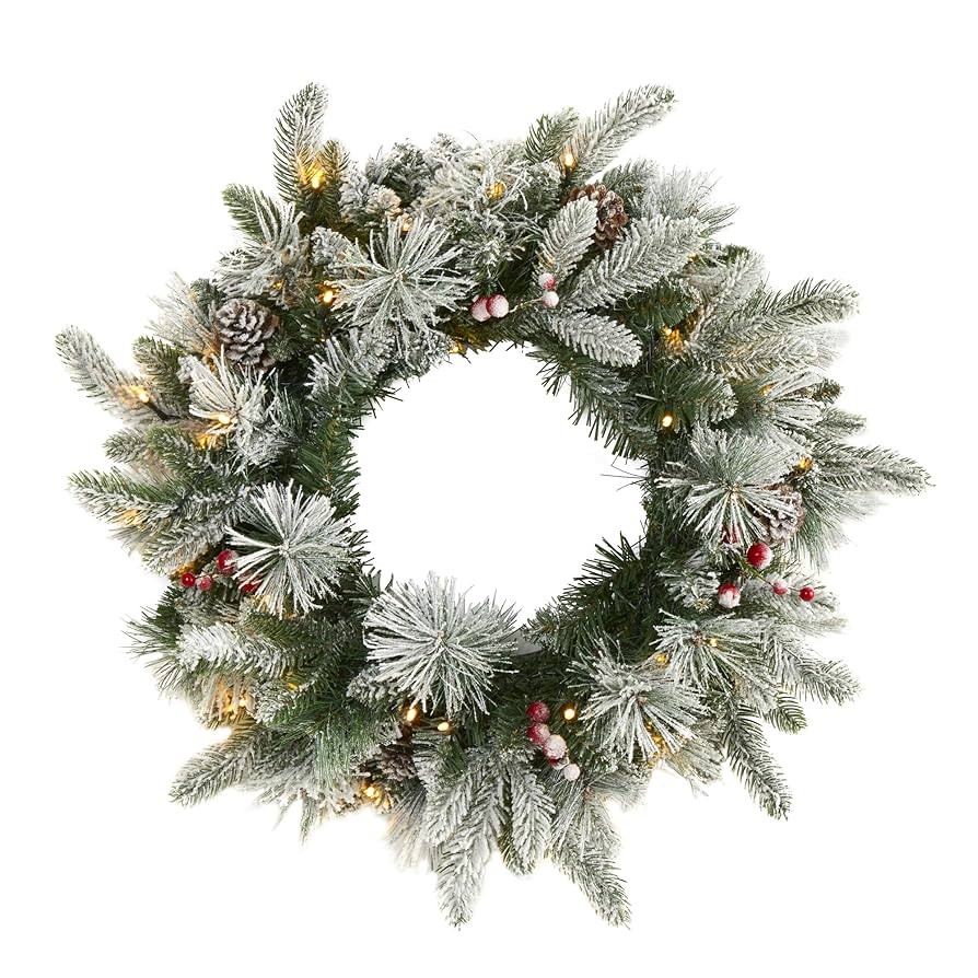 Nearly Natural 20in. Flocked Mixed Pine Artificial Christmas Wreath with 50 LED Lights, Pine Cone... | Amazon (US)