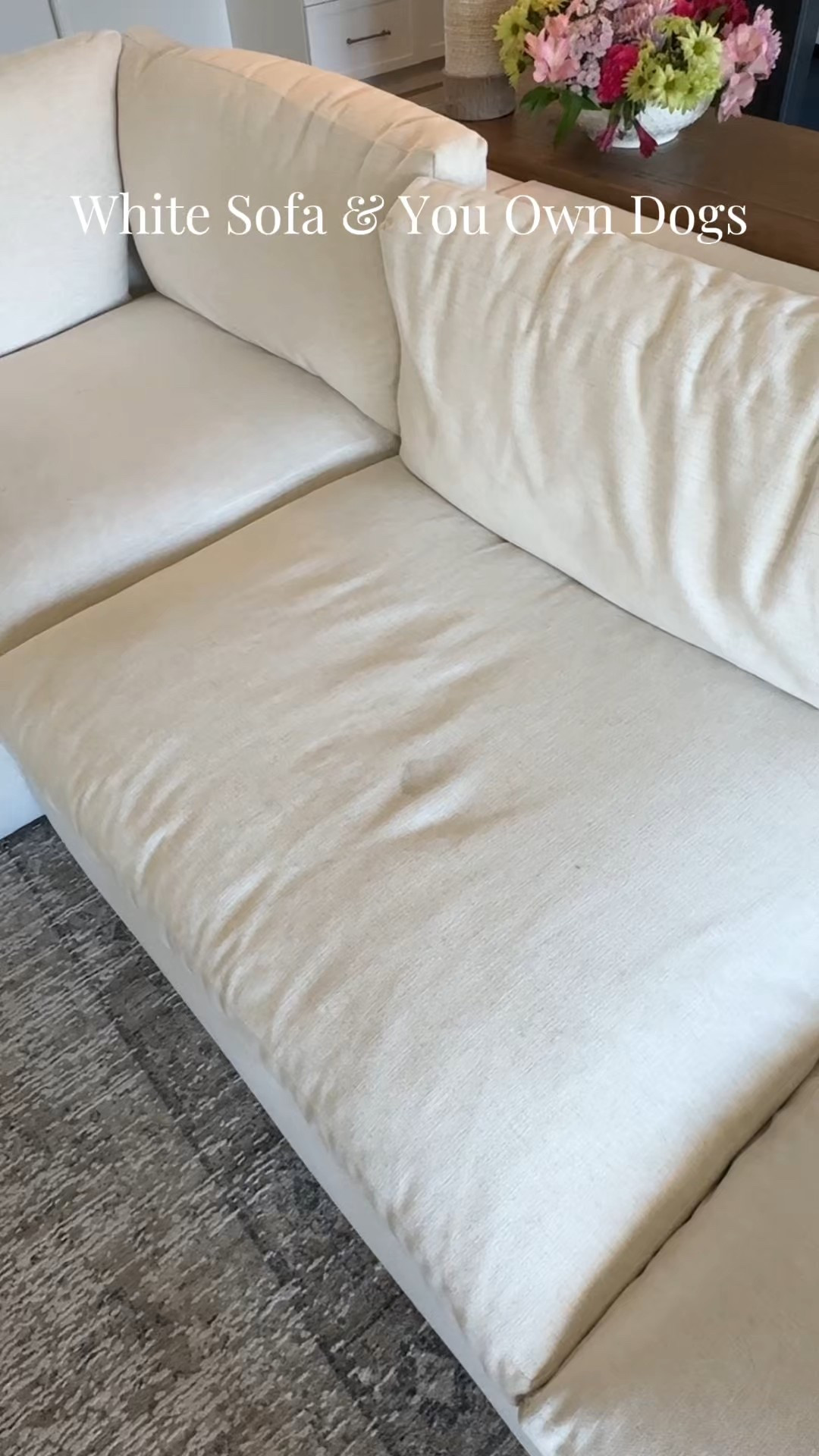 Yes I’m that INSANE person who wanted a white couch and also have 2 dog children who are allowed on it any time they want 🥹❤️ 

I literally don’t know what I was doing without my BISSELL® Little Green® Max Pet Portable Carpet and Upholstery Deep Cleaner 🫠 

This thing has cleaned up things I won’t even mention ( 💩 🤮 🐕) and my carpet and sofa have remained perfectly stain free! I will never own a home or dogs without one 🤣


#LTKHome #LTKvlog