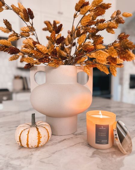 Just got this H&M vase in the mail and it’s soooo much nicer than I expected!😍 Also comes in black. // This fall scent is to die for (ships free!)🤌🏼 // Exact stems are sold out so I’m linking similar.




#LTKSeasonal #LTKstyletip #LTKhome