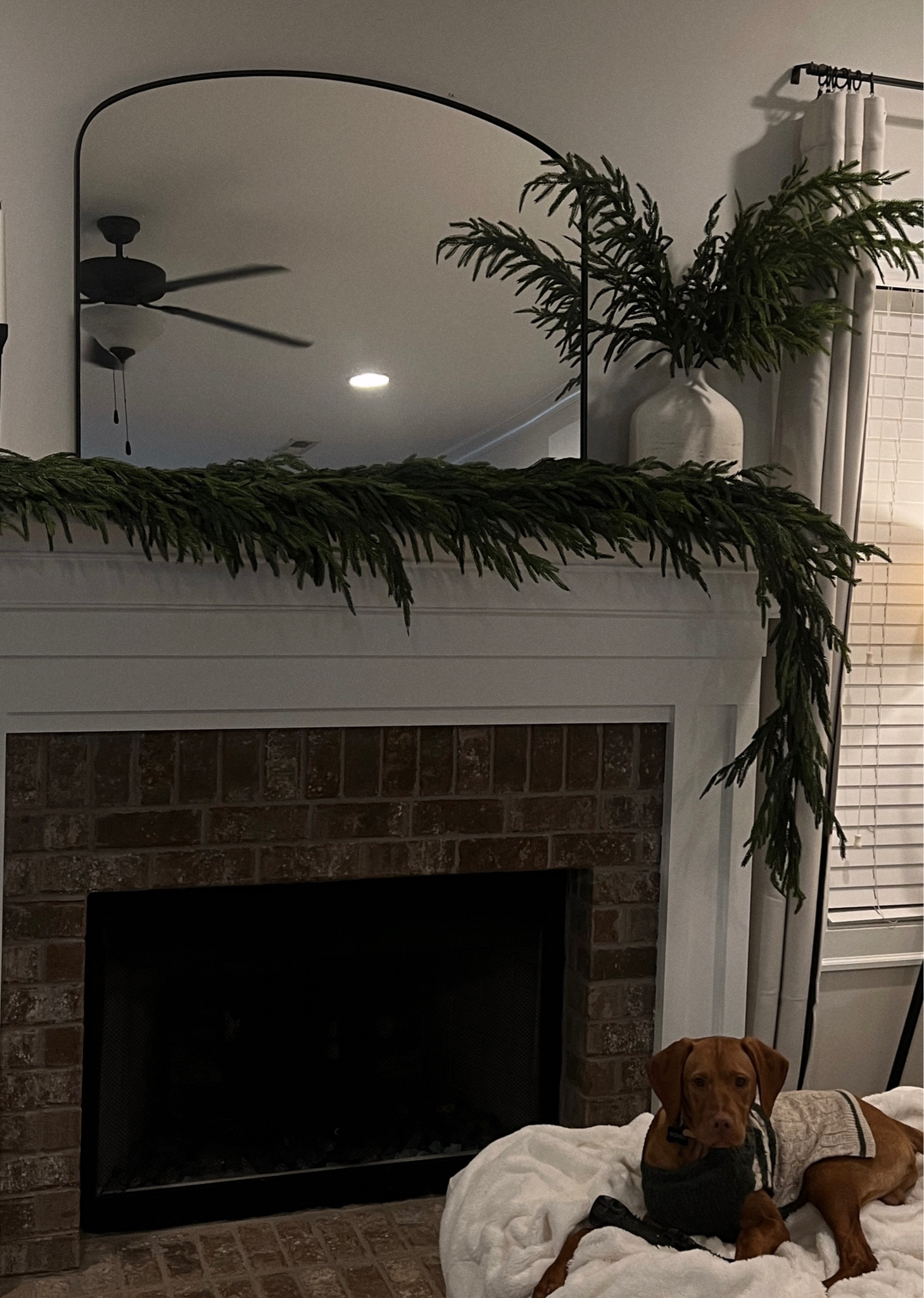 The best faux garland I’ve ever seen $ for $39 per piece! They are 5ft and I used 4 of them on my mantle. I also got the stems from Kirklands but they are out of stock online. #kirklandsgarland 

#LTKhome #LTKSeasonal #LTKfindsunder100