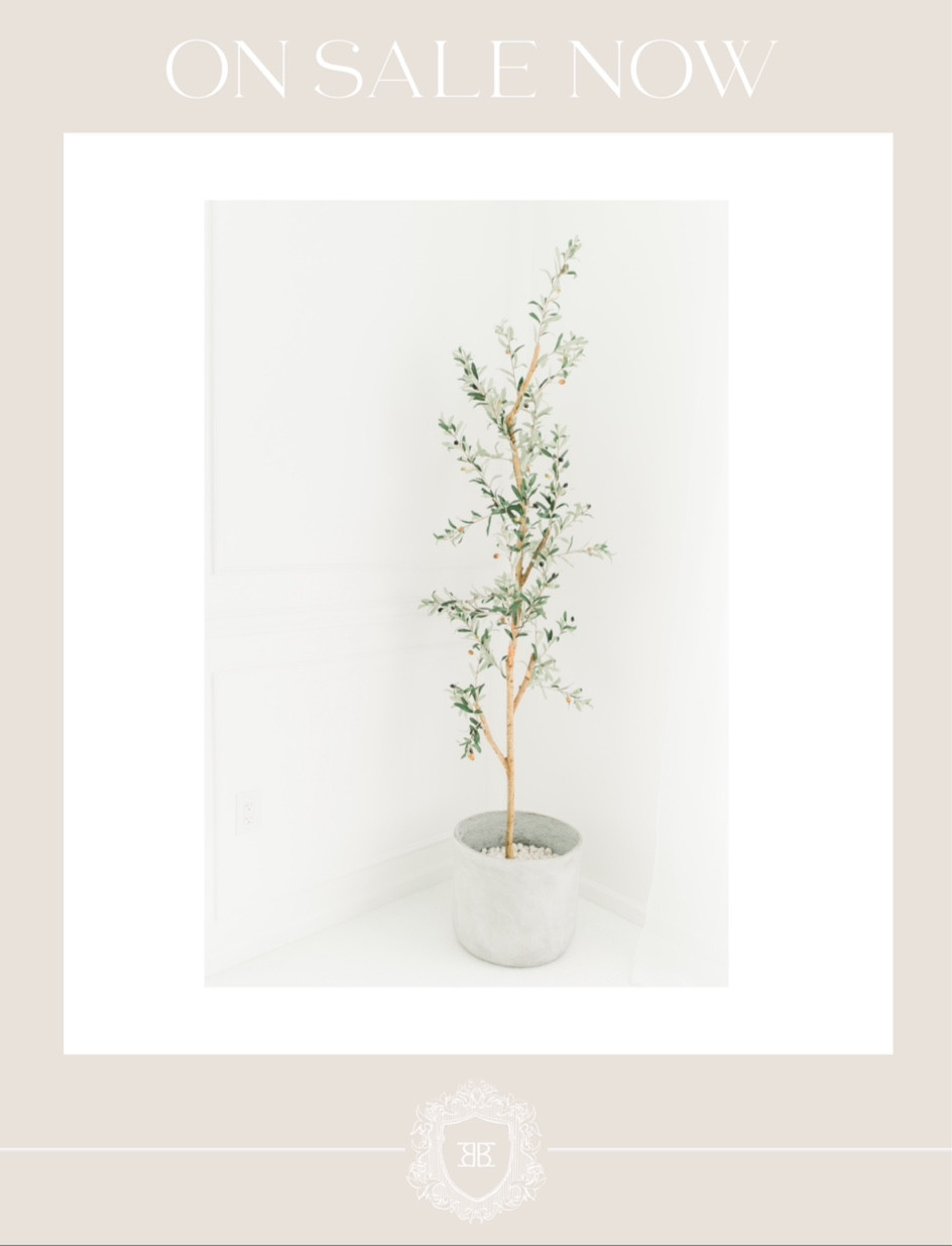 The olive tree we have in the studio is over 50% off on Amazon right now! 

#LTKsalealert #LTKfindsunder100 #LTKhome