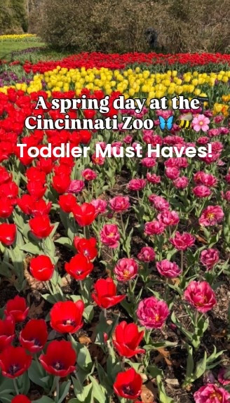 Day at the zoo with my toddler 🐒🌷
One of our favorite easy outings for spring break—so much to see, walk, and explore without it feeling overwhelming!

Sharing what we wore + toddler must-haves for zoo days (comfy, easy, and mom-approved) 🤍
#ltkfamily #toddlermom #zooday #springactivities #momlife #toddleractivities #amazonfinds 

#LTKKids #LTKBaby #LTKmomlife