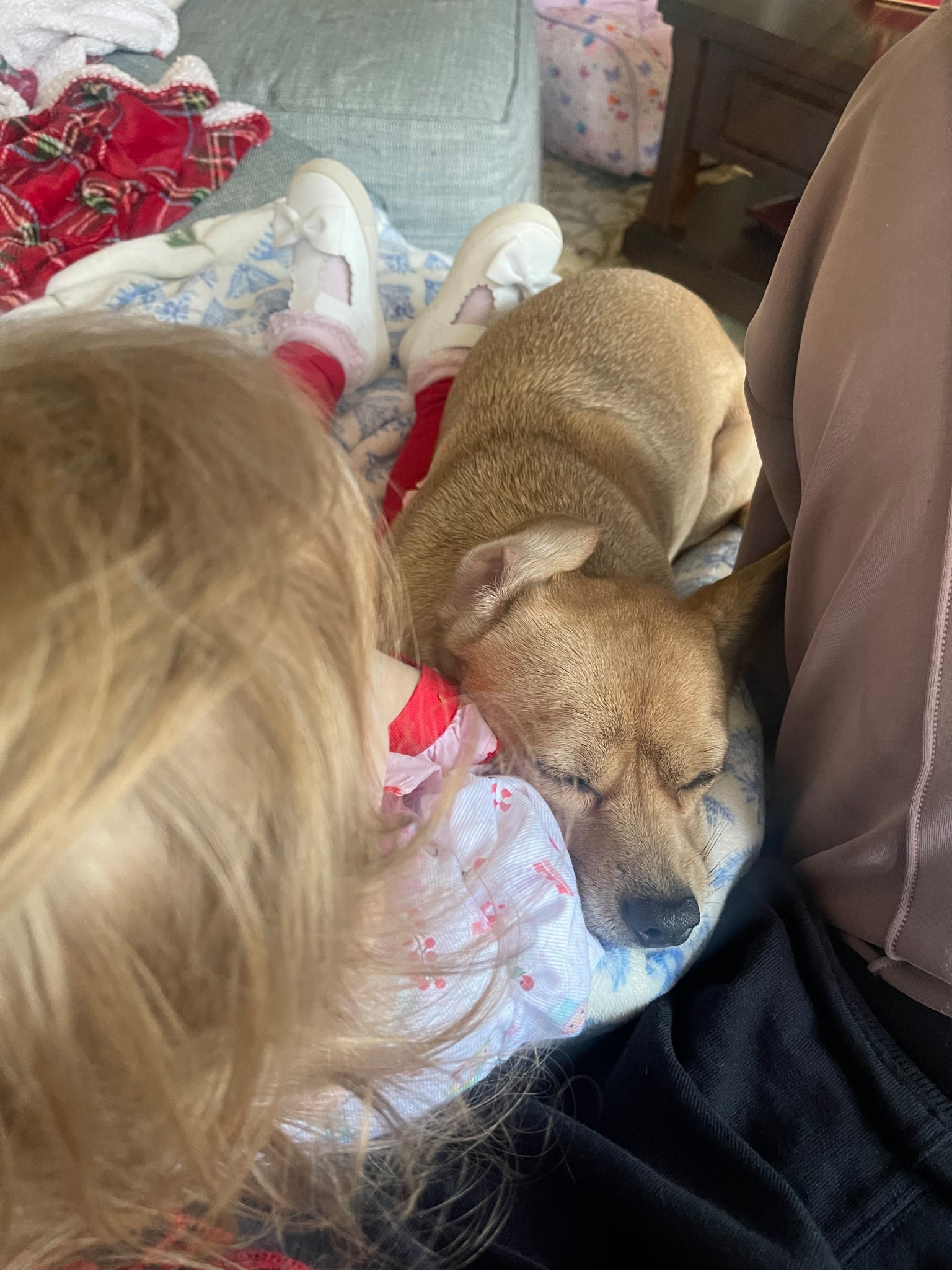 ✨Caroline’s Sweet Nutcracker Christmas Outfit🎄🩰

Caroline’s little Christmas look is pure holiday magic — she’s wearing the Nutcracker Knit Bow Dress with the sweetest scalloped hem and candy-colored print. I paired it with classic red tights, her white Felix & Flora shoes, and a festive Wee Ones bow to complete the look. This is the perfect toddler holiday outfit for photos by the tree, Christmas parties, or Nutcracker-themed events. Linking her exact dress, shoes, and bow below! 🎀❤️

holiday toddler outfit • little girl Christmas dress • Nutcracker outfit for kids • Smocked Flamingo dress • toddler Christmas photo outfit • red tights outfit • Felix & Flora shoes • Wee Ones bow • Christmas tree photos • holiday toddler style • festive kids fashion • girly Christmas outfit • scalloped hem dress • toddler holiday look • Christmas outfits for girls • kids holiday photos • matching Christmas vibes • classic Christmas style


#LTKHoliday #LTKKids #LTKBaby

#LTKHoliday #LTKBaby #LTKKids