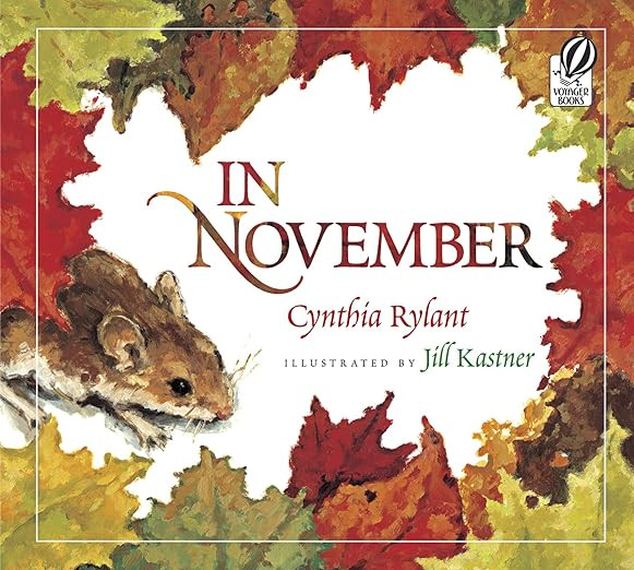 In November     Paperback – Picture Book, September 1, 2008 | Amazon (US)
