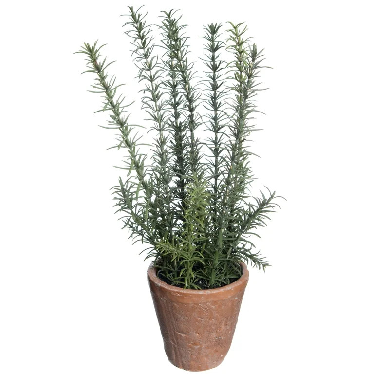19" Rosemary in Terra Cotta Pot by Ashland  - Spring Floral for Crafting and Home Decor | Walmart (US)